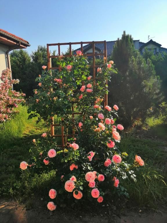 Проживание в семье Pokoje nad Młynem Стрыкув